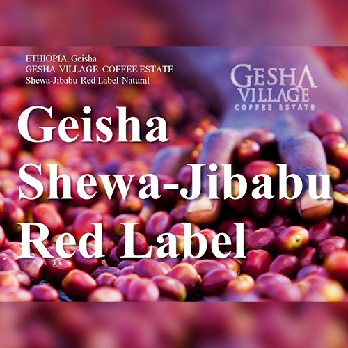 ゲイシャ ゲシャビレッジ農園 シェワジバブ RED LABEL ナチュラル/エチオピア