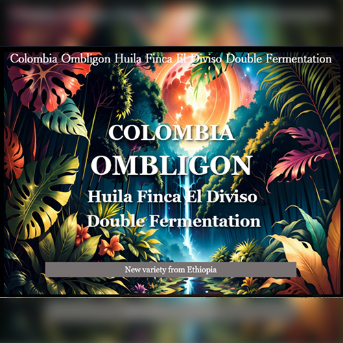 オンブリゴン ウィラ エル ディヴィソ農園 ダブルファーメンテーション/コロンビア