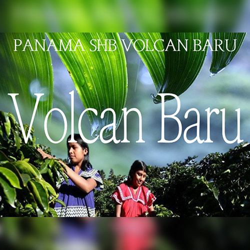 ボルカンバルー/パナマ